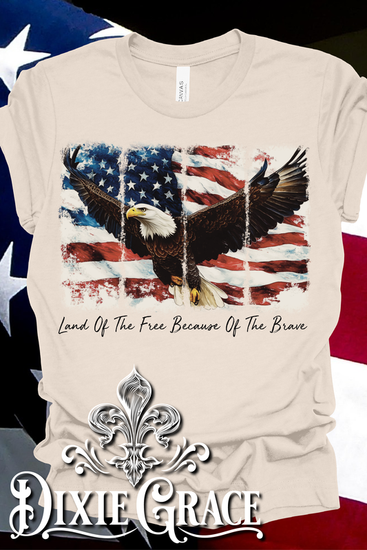 Eagle Panel - Land of the Free - Natural - Youth, Tank, Sweatshirt, Hoodie Option - Graphic Tee