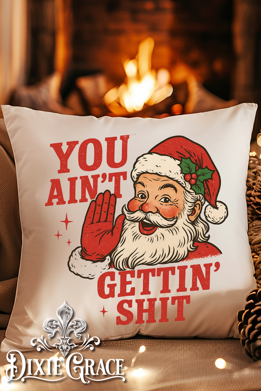You Ain't Gettin' Shit - Includes Insert - Throw Pillow